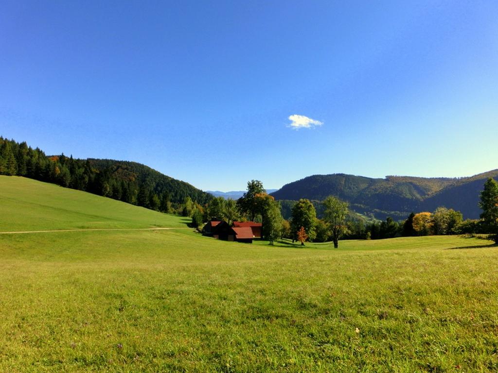 Gaestehaus Forstner Лойх Экстерьер фото